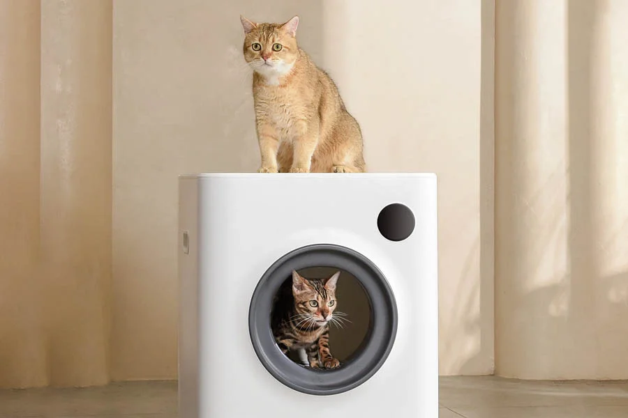 best automatic cat litter