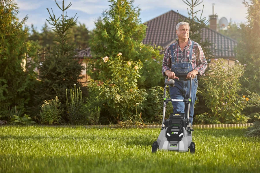 small electric lawnmowers