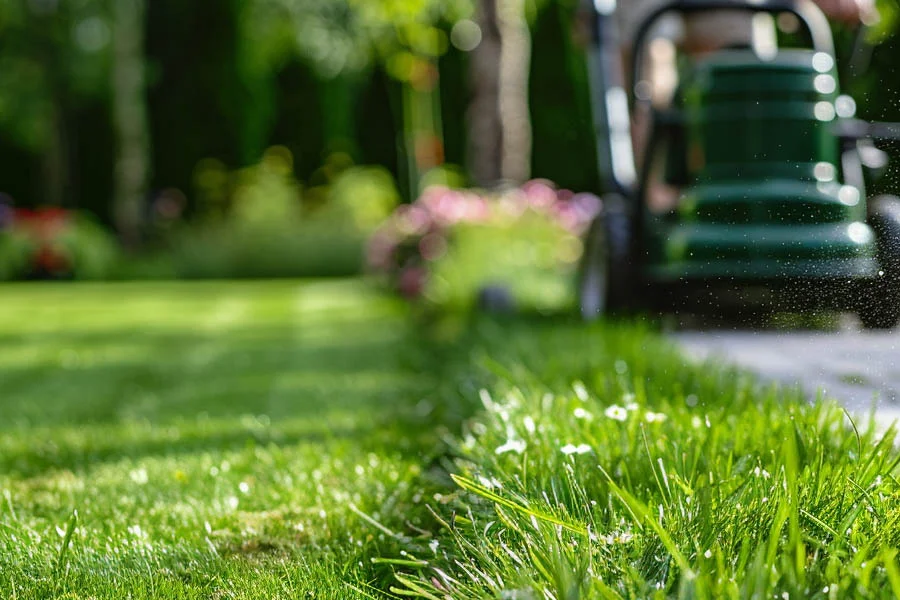 cordless grass cutter