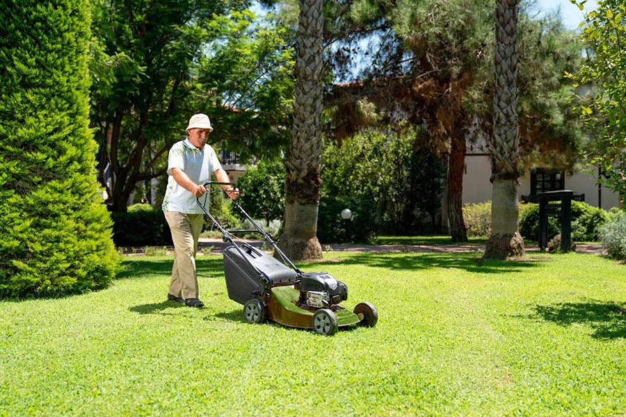 best self propelled electric lawn mower